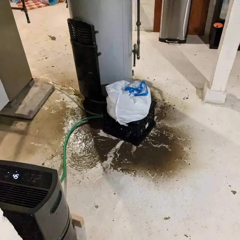 Sewage Backup Cleanup Service in Holdrege, NE